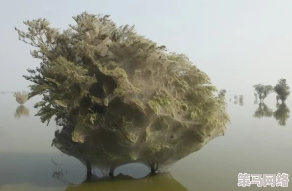 免费毛片在线：震惊！全球首个完全免费的成人影片平台上线，用户量瞬间突破百万！