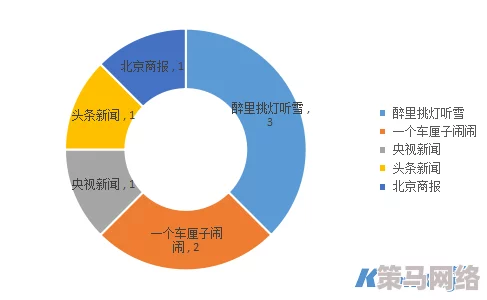 暗料网：基于大数据分析的网络信息传播与舆情监测研究及其应用前景探讨