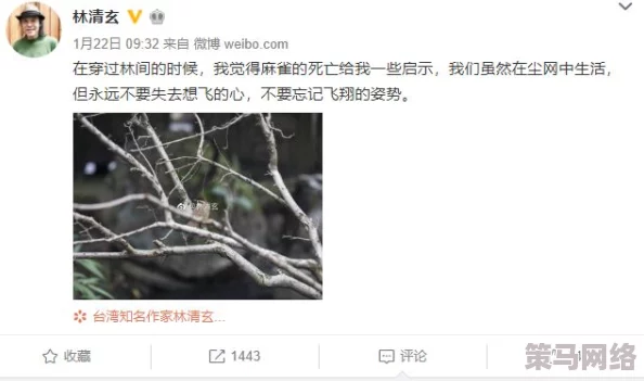 真实呦女酱网址仙踪林：神秘网站引发热议，网友纷纷探讨其背后的故事与影响！