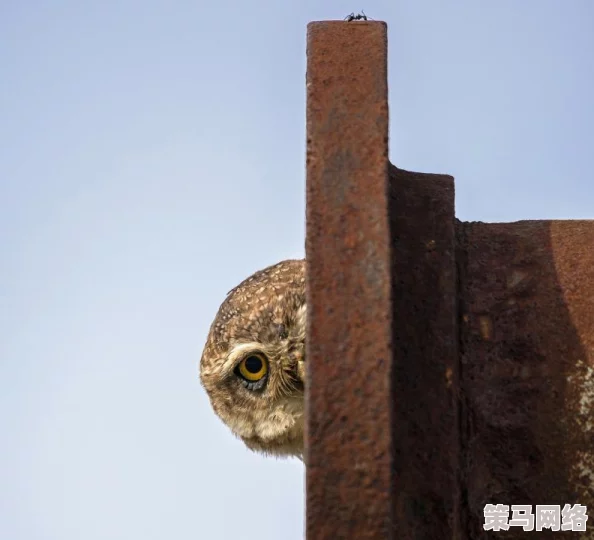 太空行动工程师跳管道游戏技巧与玩法攻略全面介绍