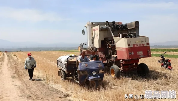 探究《地下城与勇士》游戏：哪个跨区玩家人数最多，热度最高？