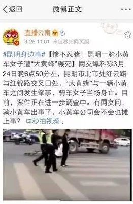 一级特大黄色片网友认为该片内容低俗不堪严重影响社会风气呼吁加强监管与法律惩处以维护良好文化环境