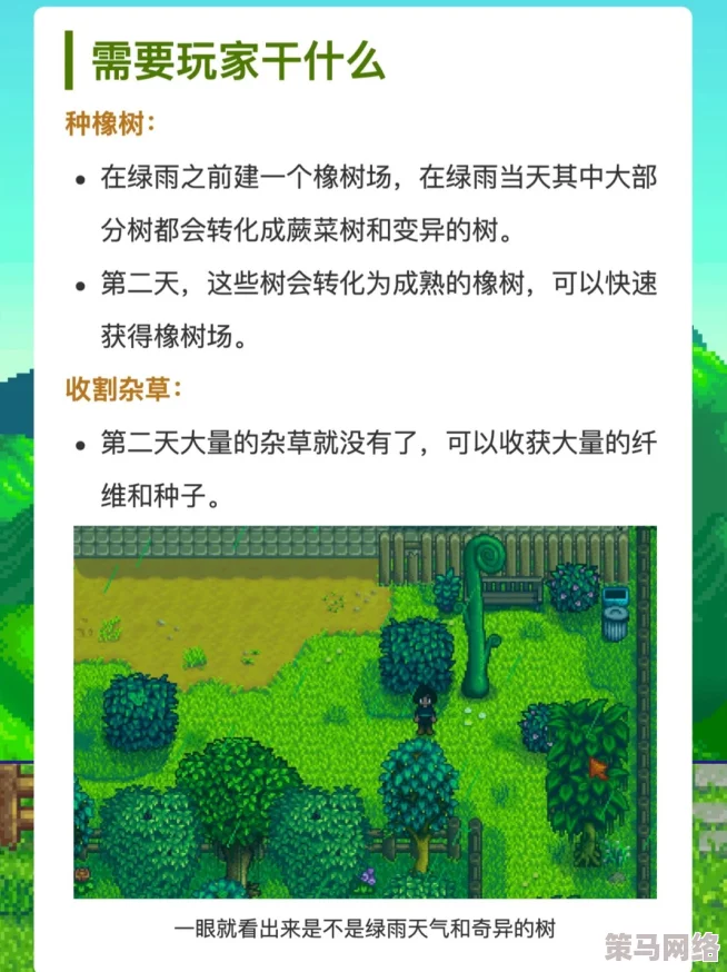 星露谷物语中苔雨天气对游戏环境及农作物生长的具体影响分析