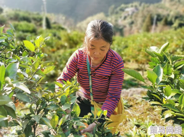 《光遇》游戏中赠送好友小橘子的详细方法与步骤指南