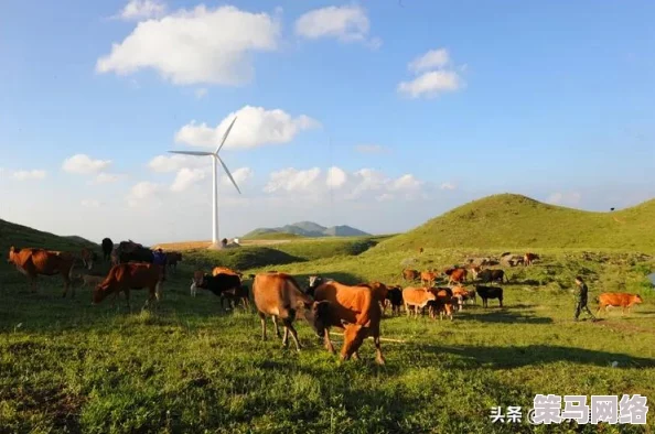 原始传奇游戏中土城副本可爆出的珍稀物品与奖励详解