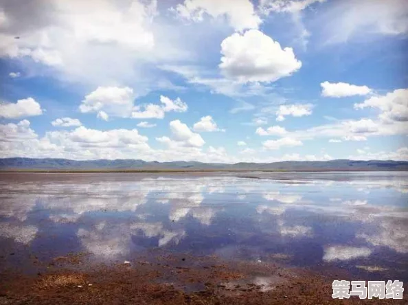 亚洲伊人天堂网友推荐这里汇聚了丰富多彩的内容和精彩的视觉体验让你在放松心情的同时享受美好时光