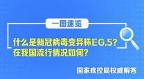 亚洲国产日韩a在线亚洲网友推荐这个平台内容丰富多样适合各类用户观看体验流畅值得一试非常好用的在线视频网站